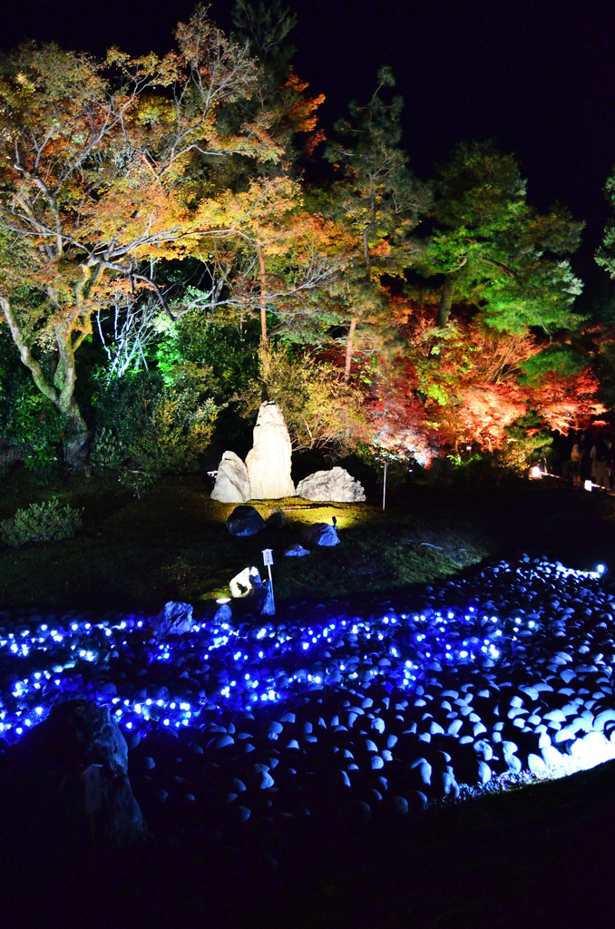 宝厳院2018 獅子吼の庭③