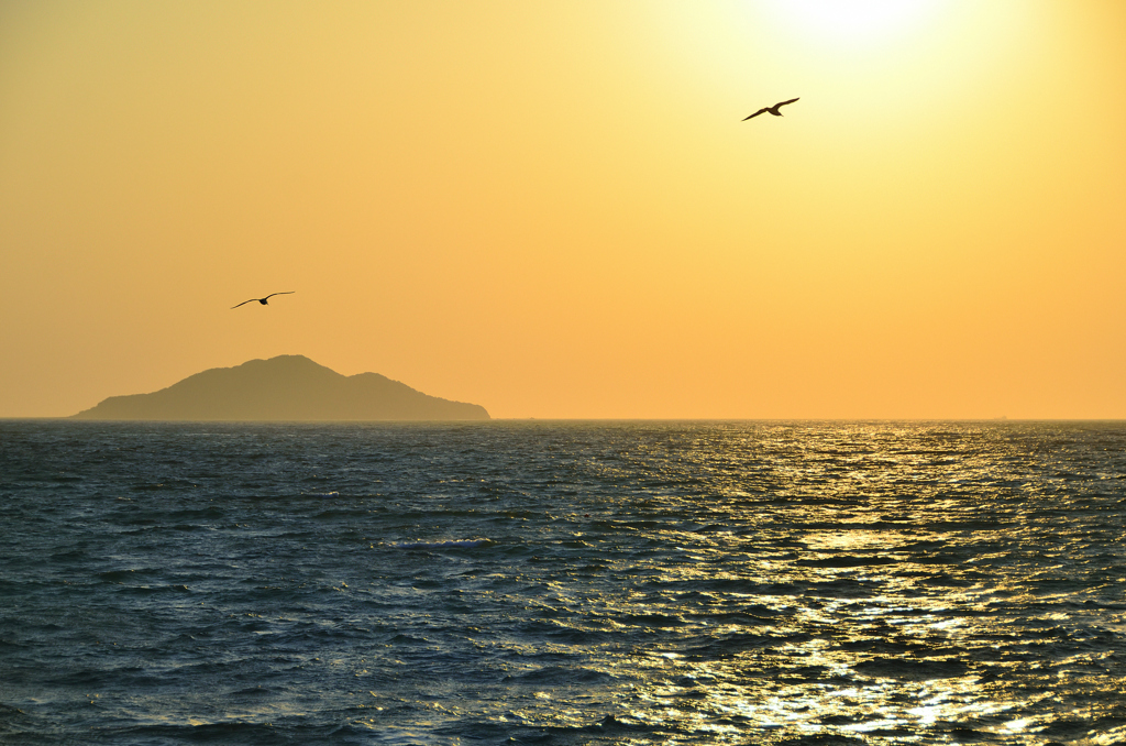 鐘岬2021　冬の海　夕陽とカモメ
