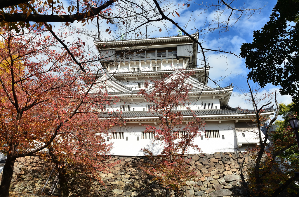 小倉城2021　秋の天守②