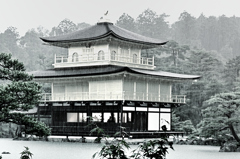 京都2022　金閣寺　雨の舎利殿②