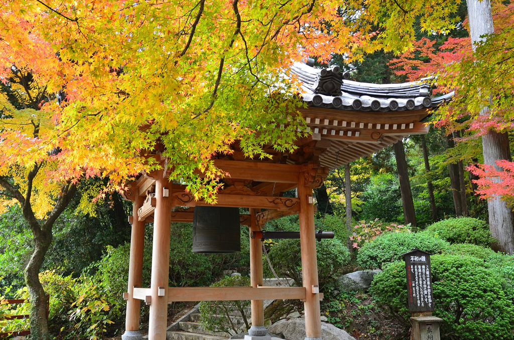 大興善寺2021　11月-3　鐘楼