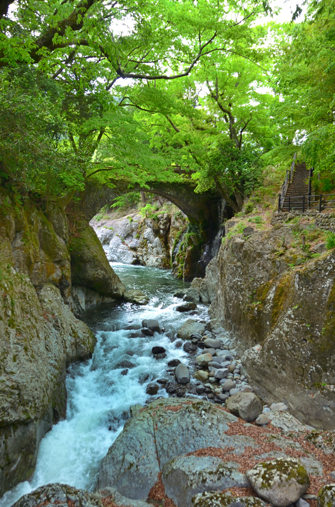 魔林峡2022-1　念仏橋①