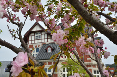 門司港ﾚﾄﾛ2019　桜＆国際友好記念図書館