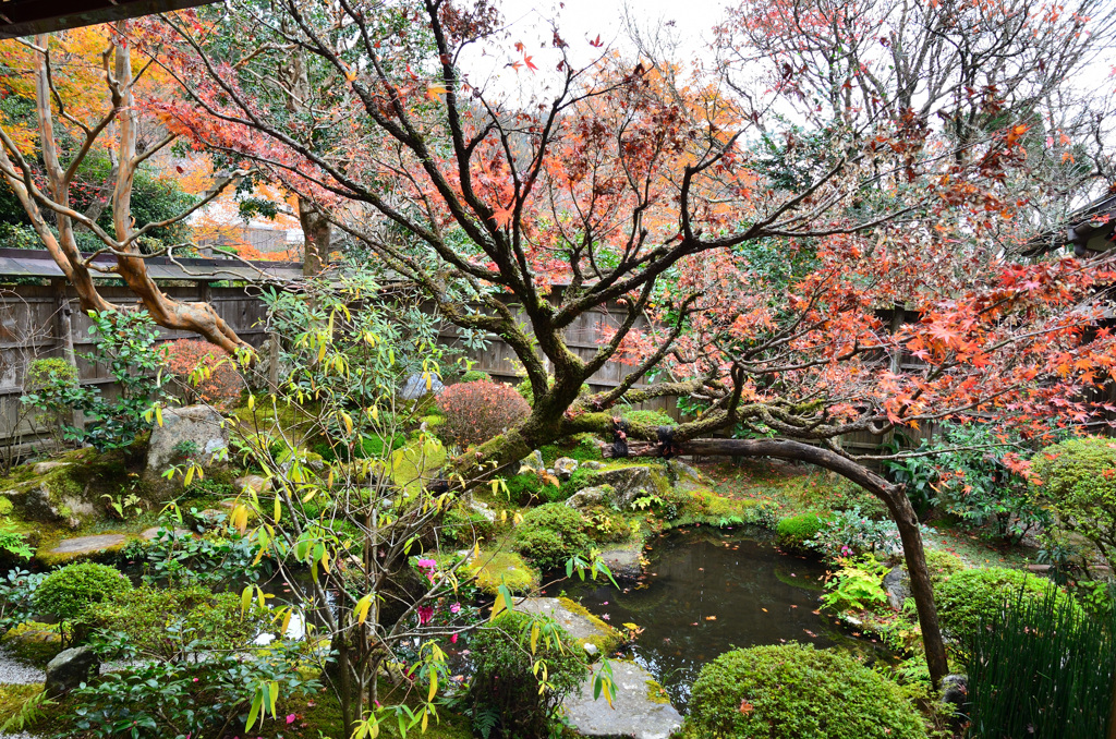 宝泉院2018-1　庭園②