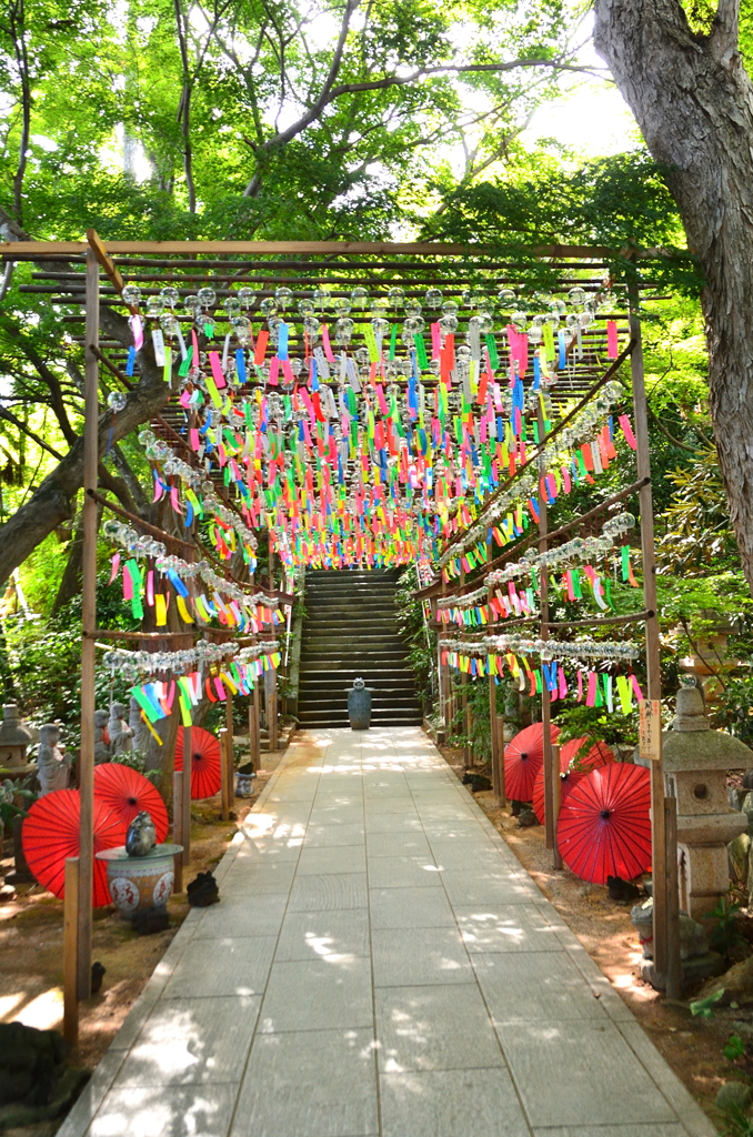 如意輪寺2022　8月-1　参道と風鈴