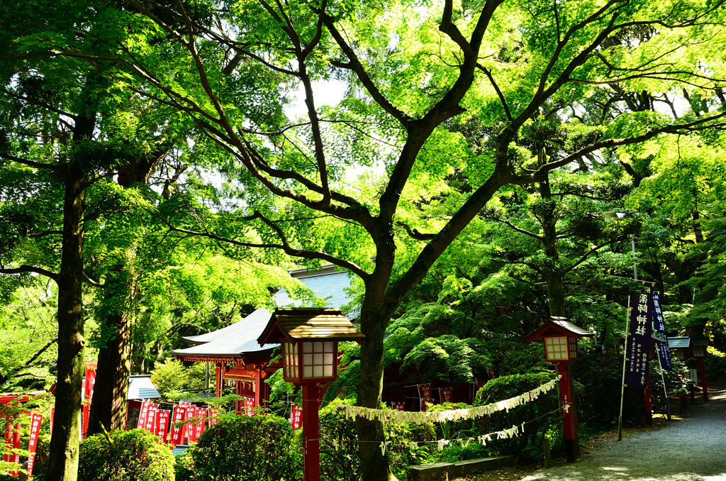 宮地嶽神社2020　奥の宮　稲荷神社