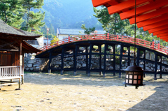 厳島神社2020　10月　午後の反橋
