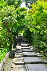高台寺2022　7月　台所坂上り