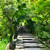 高台寺2022　7月　台所坂上り