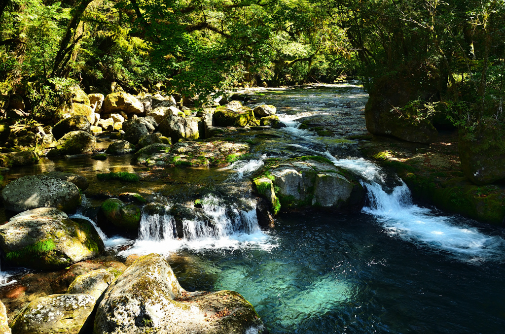 菊池渓谷2020　10月-4　広河原②
