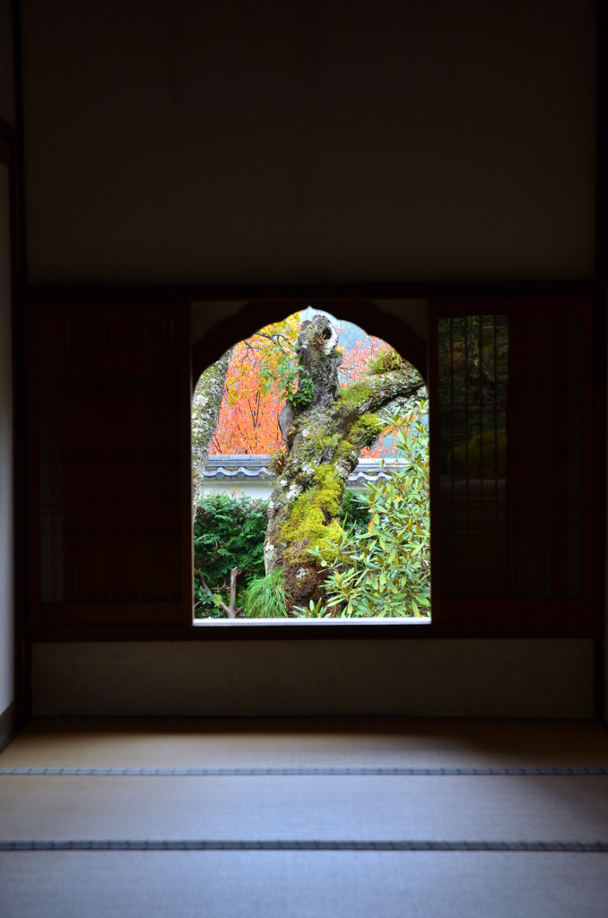 三千院2018-2　窓