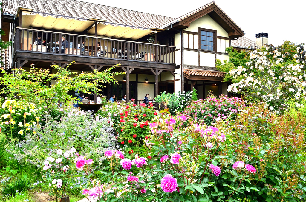 大神ファーム2022　憩　薔薇と洋館