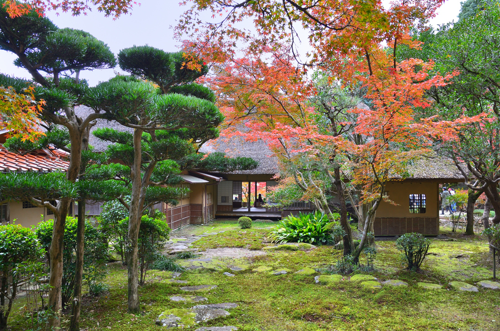 九年庵2019-5　裏庭より主屋客間　