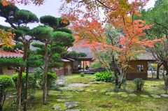 九年庵2019-5　裏庭より主屋客間　