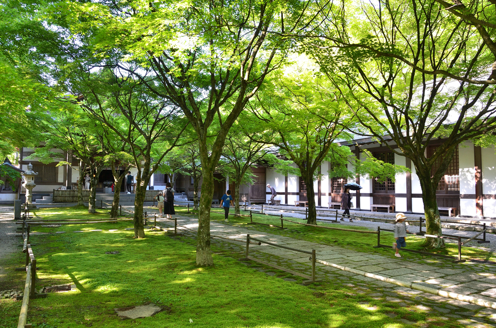 呑山観音寺2023　6月-1　天王院　参道と講堂