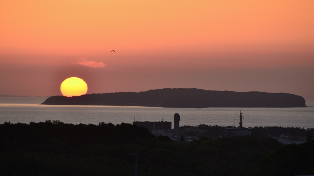 九州道古賀SA2021　4月　夕陽と海鳥