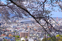 足立公園2020　4月-2　桜＆メディアドーム