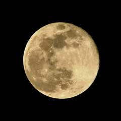 コールドムーン2025