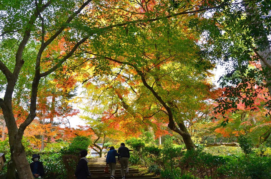 清水寺本坊庭園2022　11月-1　参道