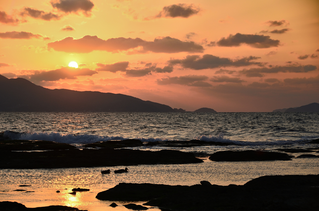 洞山2022　2月-4　鴨のいる夕景