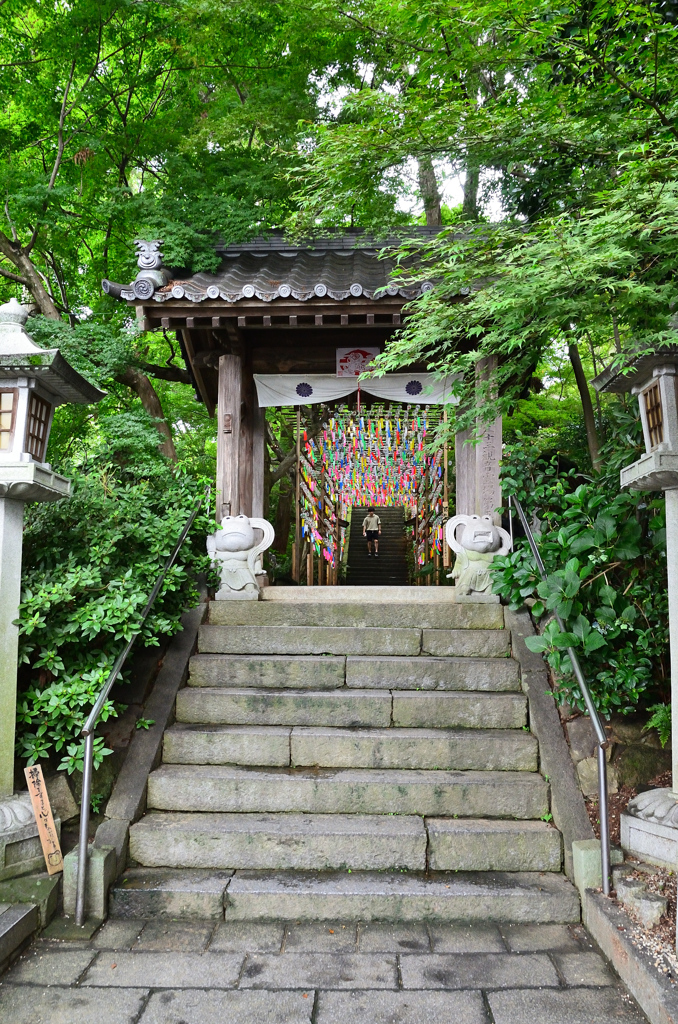 如意輪寺2020　7月-1　山門