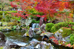 渓石園2018　11月-3　紅葉①