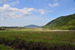 ﾀﾃﾞ原湿原2019　木道