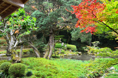 雷山千如寺2019　心字庭園