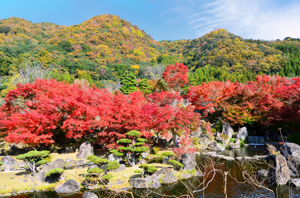 渓石園2022　11月-2　日本庭園①