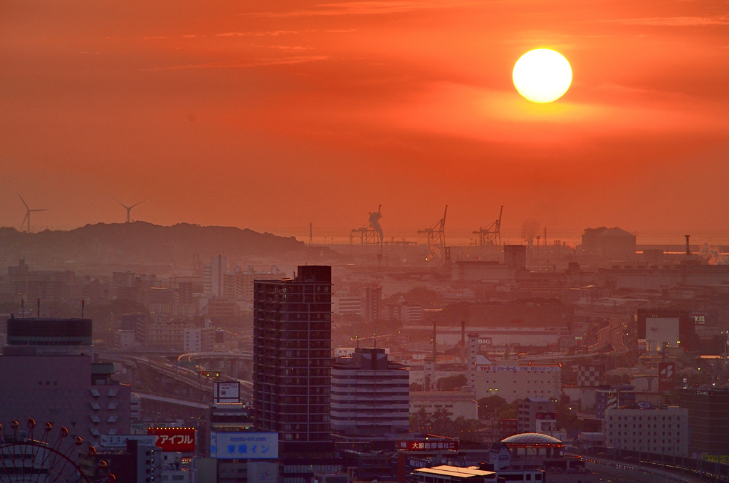 Ｋ市2020　6月　夕陽とキリン