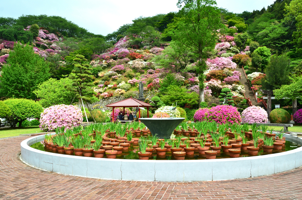 祐徳稲荷神社2019　花園①