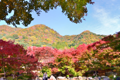 渓石園2022　11月-6　紅葉と借景