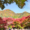 渓石園2022　11月-6　紅葉と借景