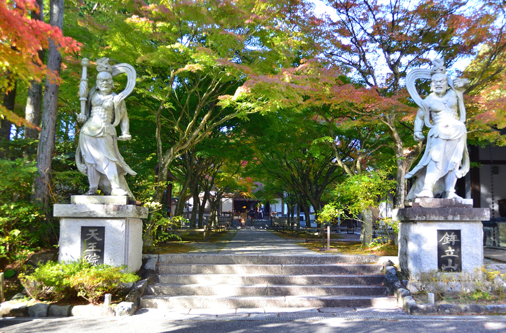 呑山観音寺2022　10月-3　天王院　参道①