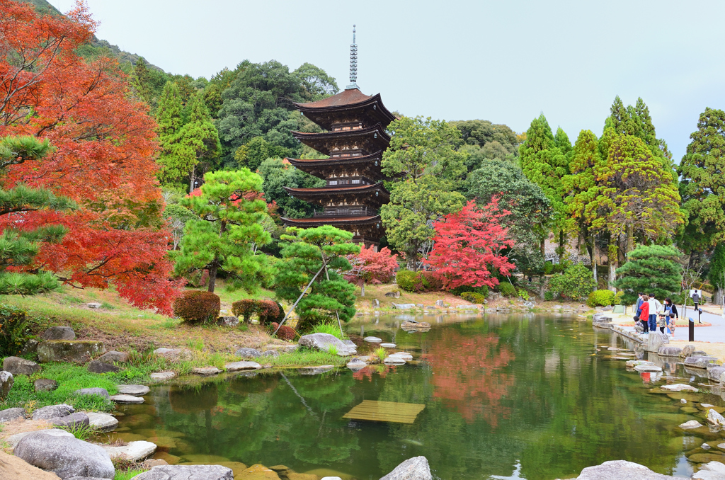 瑠璃光寺2022　11月-1　五重塔と庭園