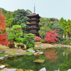 瑠璃光寺2022　11月-1　五重塔と庭園