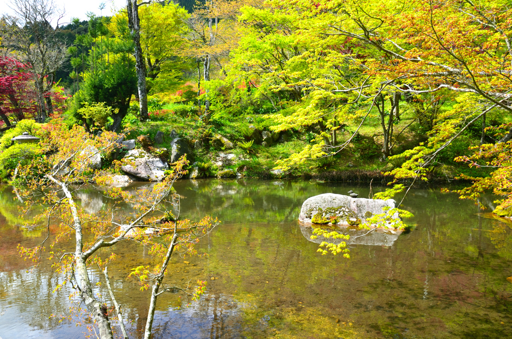 環境芸術の森2023　4月　庭園②