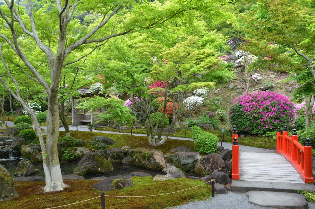 祐徳稲荷神社2018-2　日本庭園①