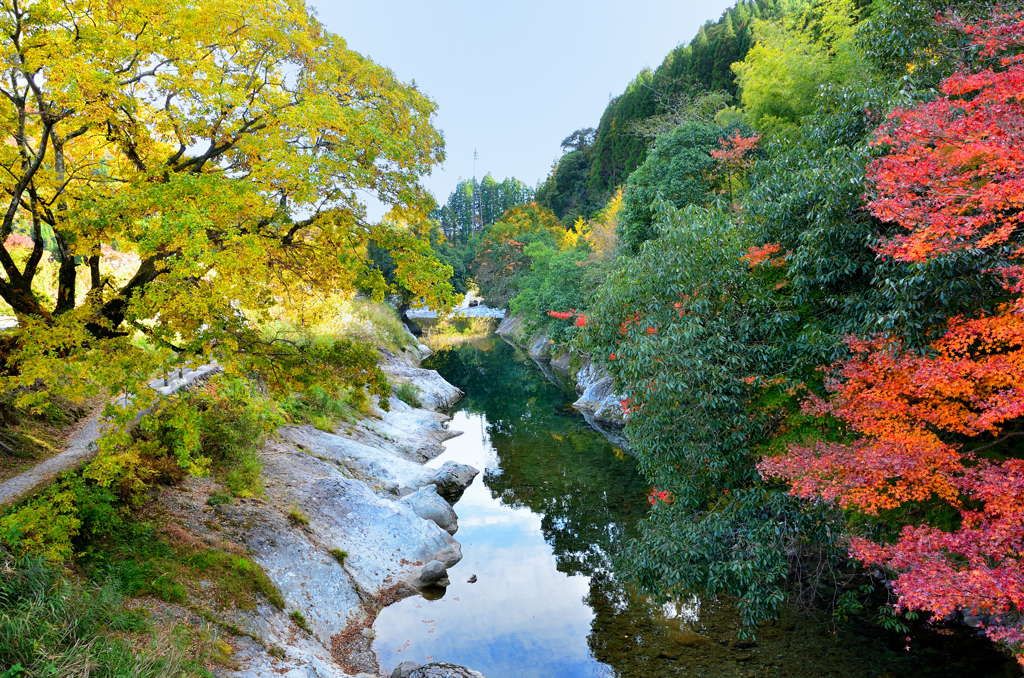 猿飛千壺峡2022　11月-2　紅葉の渓流