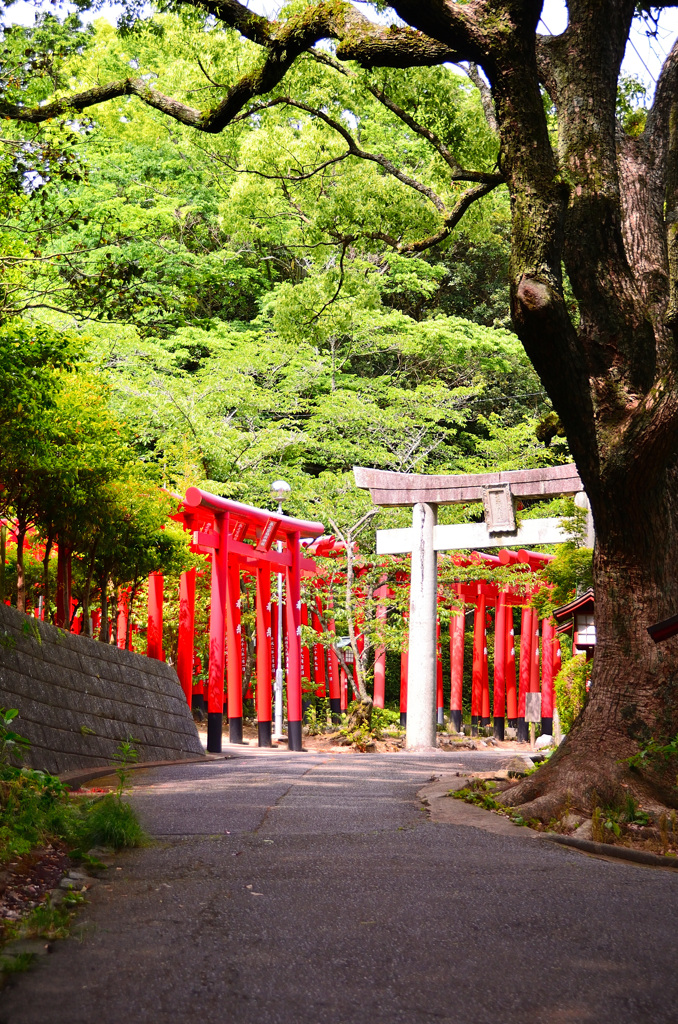 宮地嶽神社2020　奥の宮　鳥居
