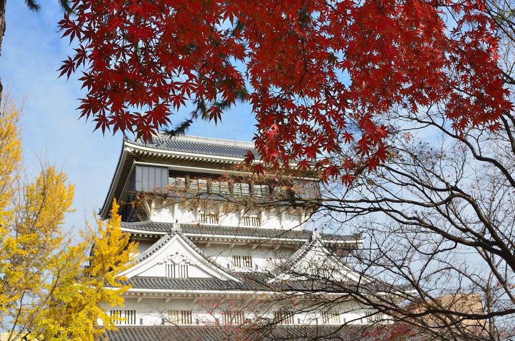 小倉城2022　晩秋-02　天守閣と紅葉