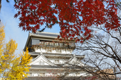 小倉城2022　晩秋-02　天守閣と紅葉