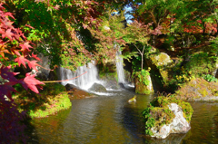 渓石園2020　11月-2　小さな滝