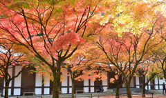 呑山観音寺2022　秋-02　講堂（信徒会館）