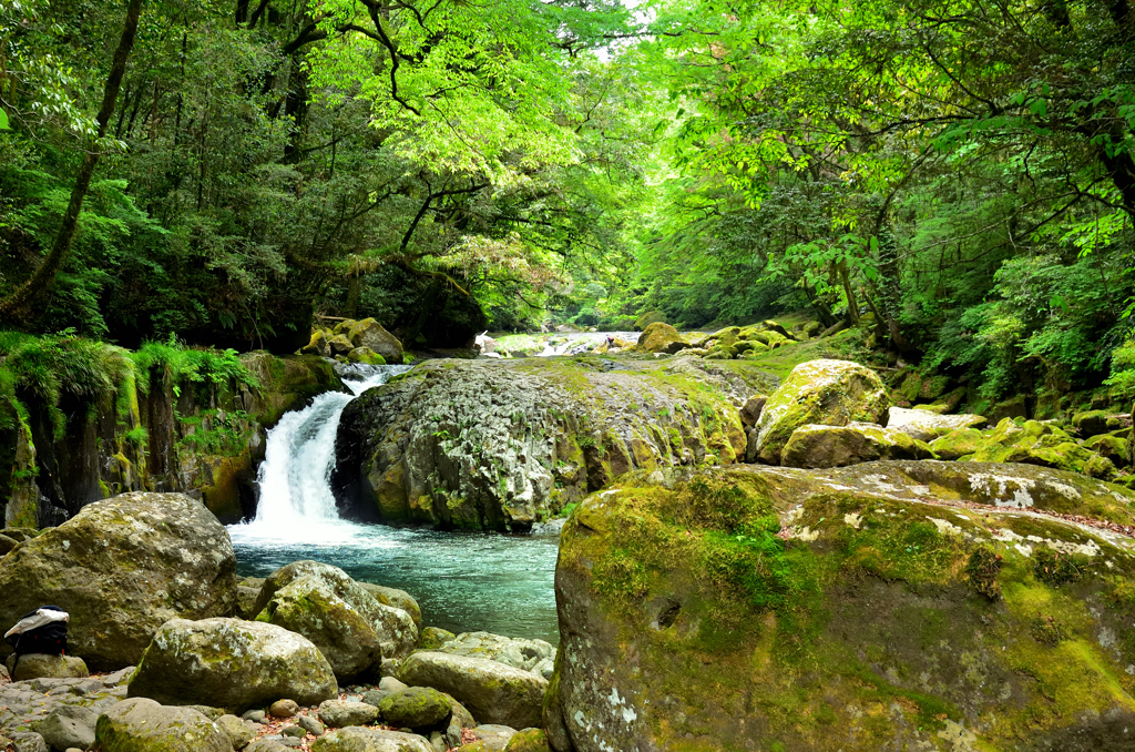 菊池渓谷2022　新緑-1　黎明の滝①