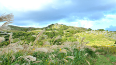 平尾台2021　秋-03　カルスト台地