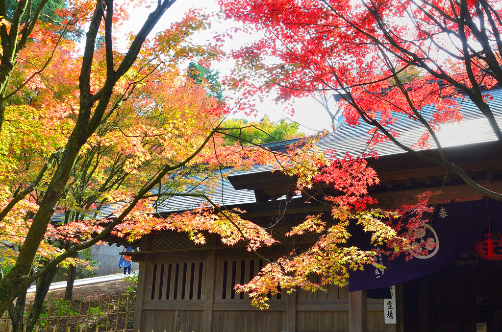 呑山観音寺2021　秋-02　七福神堂
