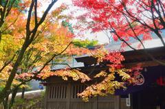 呑山観音寺2021　秋-02　七福神堂