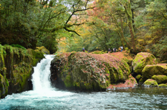 菊池渓谷2021　秋-1　黎明の滝