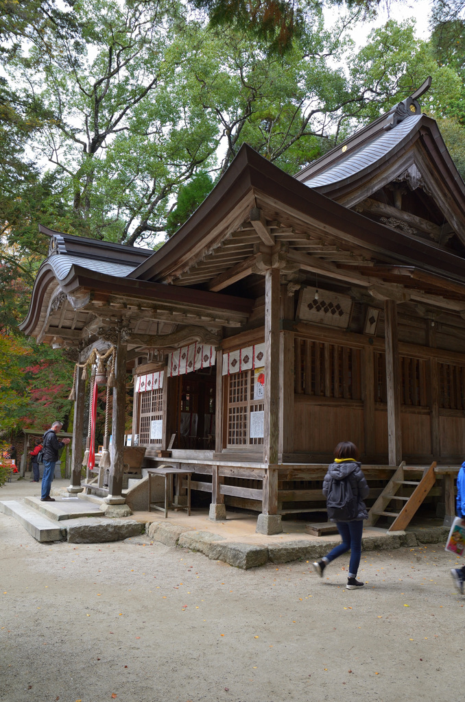 仁比山神社2019-2　拝殿